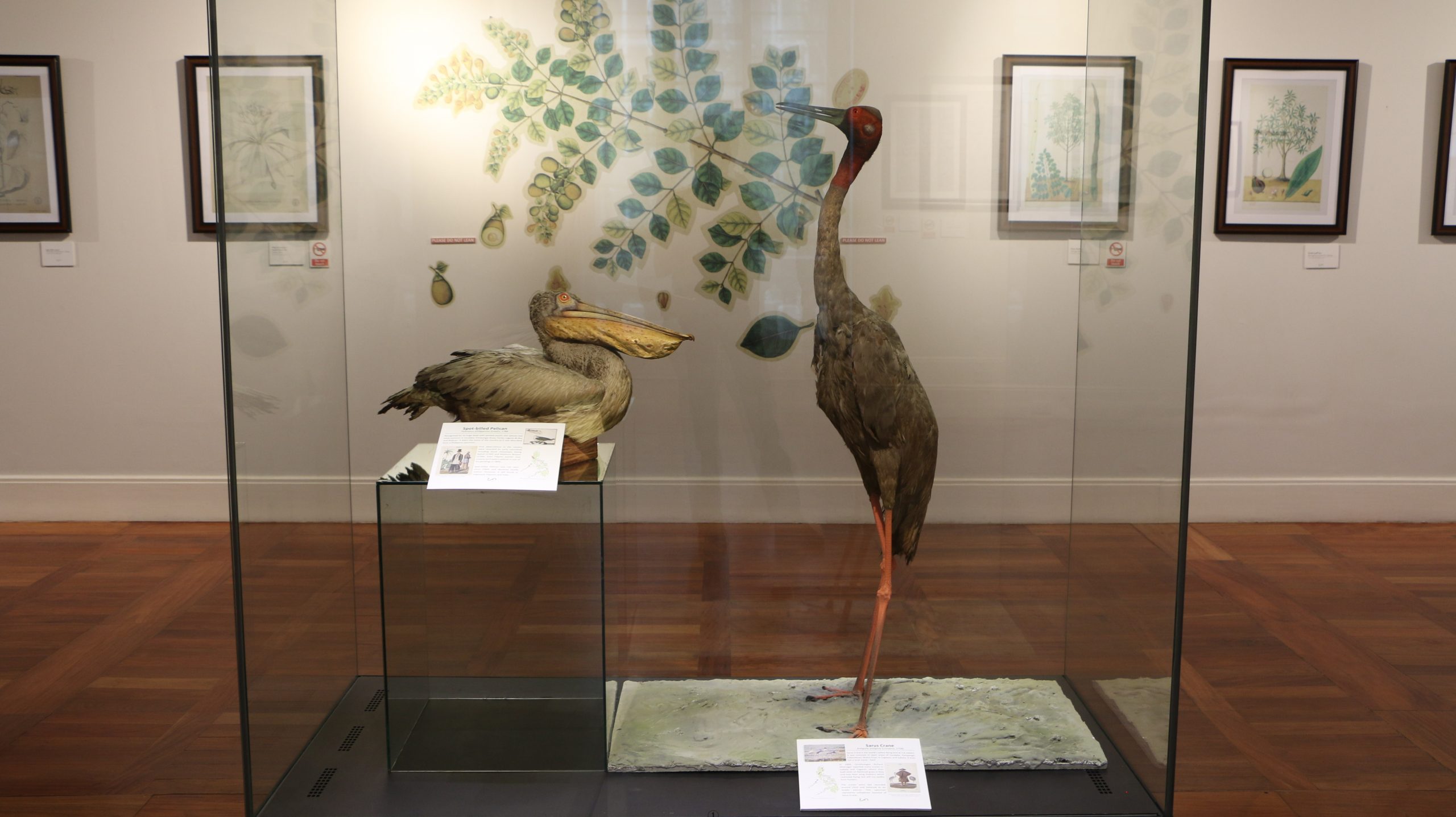 Exhibit